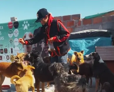 Instructor de Canniland rodeado de varios perros mestizos durante una jornada de reinserción canina