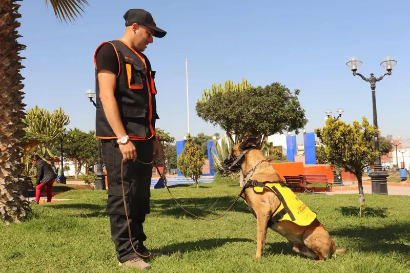 Instructor de Canniland con un Malinois sentado a su lado en un parque de Tacna